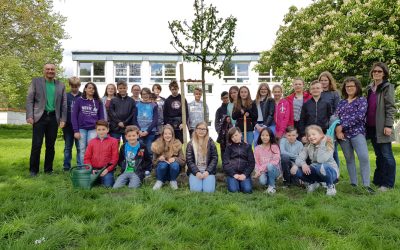 Die Schöpfung bewahren – EBG Schülerinnen und Schüler pflanzen Bäume